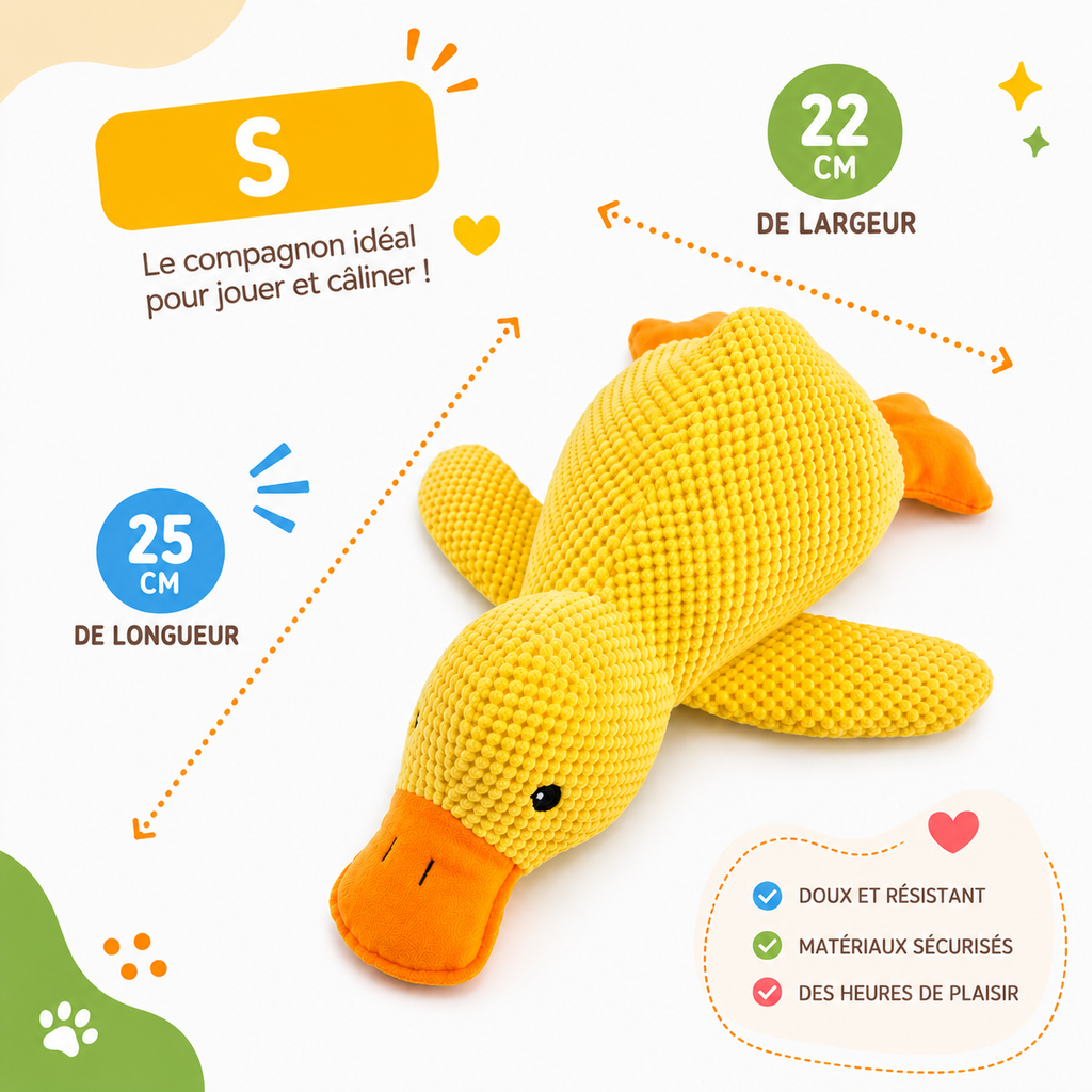 Donald le canard