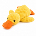 Donald le canard
