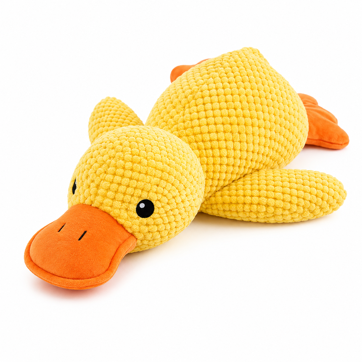 Donald le canard