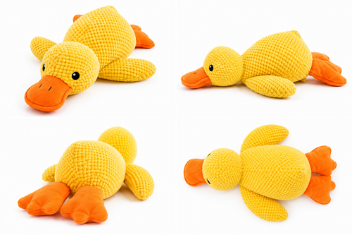 Donald le canard